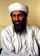 Essays on Osama Bin Laden